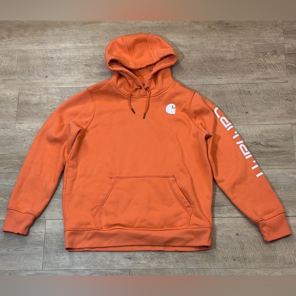 Carhartt Youth Relaxed Fit Clarksburg Sleeve Logo Sweatshirt Hoodie Size L 12-14 - Picture 1 of 7